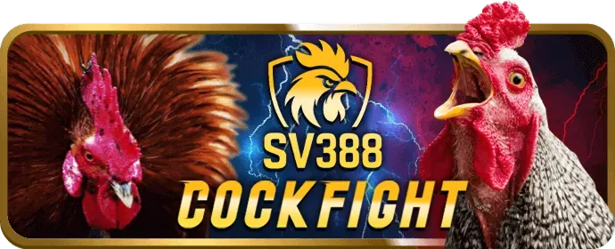 Cài đặt hồ sơ cấu hình ứng dụng u888vip1 trên iOS
